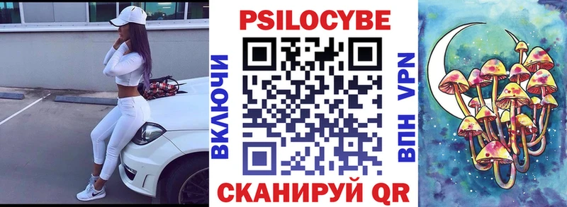 Псилоцибиновые грибы Psilocybine cubensis  Яхрома 