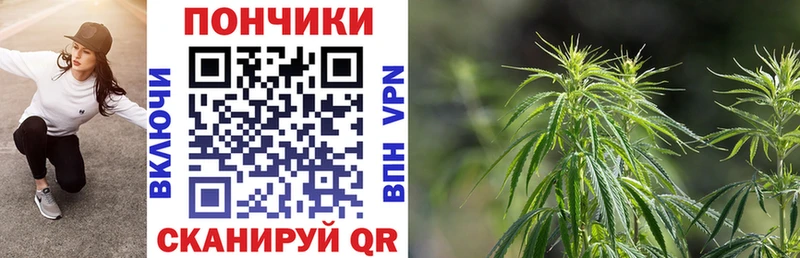 Каннабис индика  где купить наркоту  Яхрома 